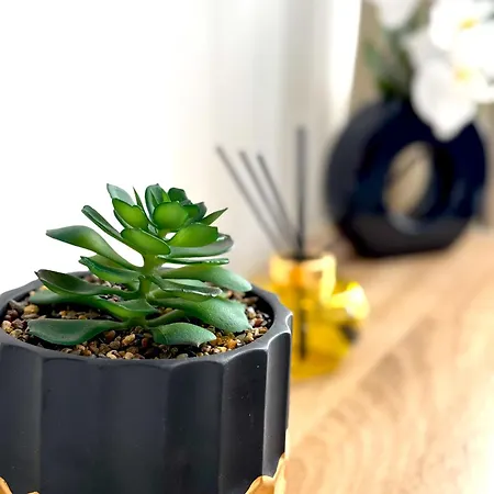 Appartement La Secrete - 5 - Ruelle-sur-Touvre